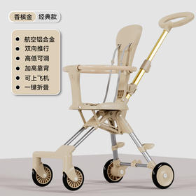 AIrud(艾瑞迪）口袋溜娃车HL-6655