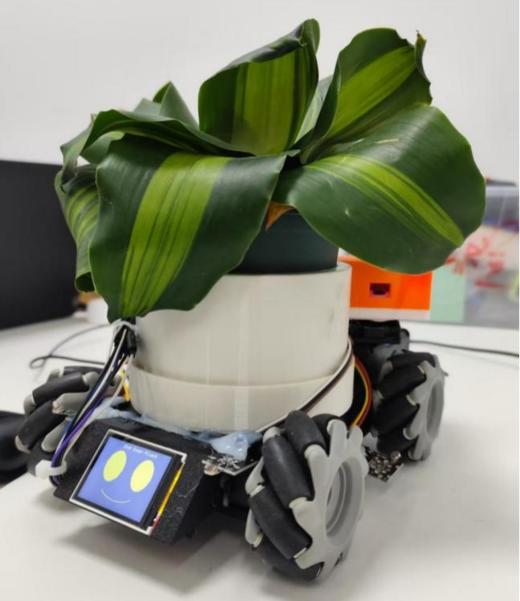 仿生学创造家｜追光植物小车科创营 商品图4