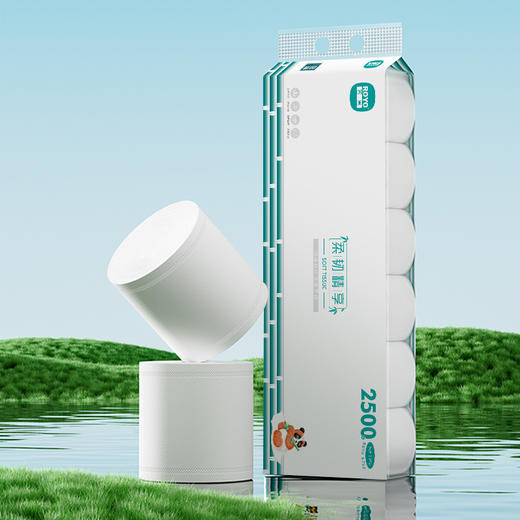 若禺无芯卷纸国潮竹韧系列5层加厚2500克/卷12卷/提到手6提原生竹浆柔软亲肤RJ1407 商品图5