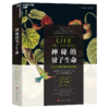 神秘的量子生命 媲美薛定谔《生命是什么》、量子生物学奠基之作 商品缩略图1