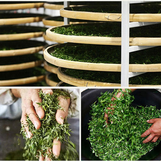 中粮中茶祁红毛峰礼盒208g 商品图2