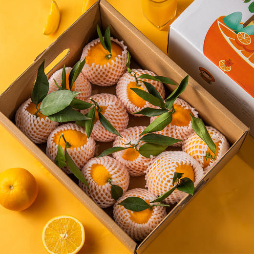 奉节脐橙五斤大果手提彩箱装 商品图4
