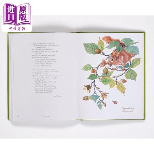 【中商原版】The Country Diary of an Edwardian Lady 进口艺术 一九零六：英伦乡野手记 新版 Rizzoli 商品图4