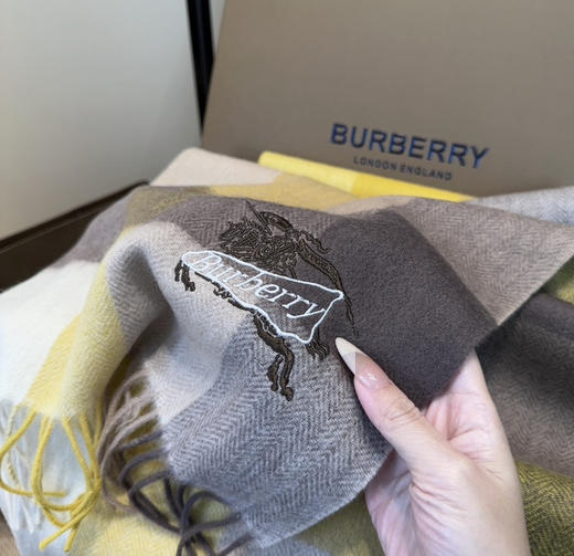 秋冬特惠💰240 巴宝莉高端重磅男士围巾 商品图5