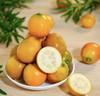 大吉大利3A脆蜜大金桔3斤礼盒装 商品缩略图4
