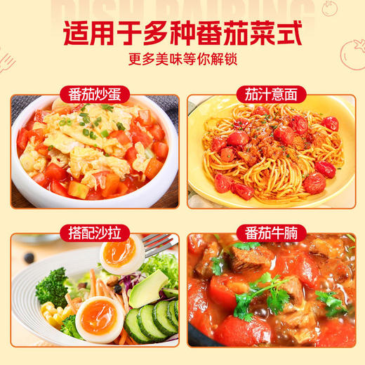 【新疆直发】新疆番茄丁块罐头210g*4起半球红切块去皮西红柿块罐头家用配菜 商品图3