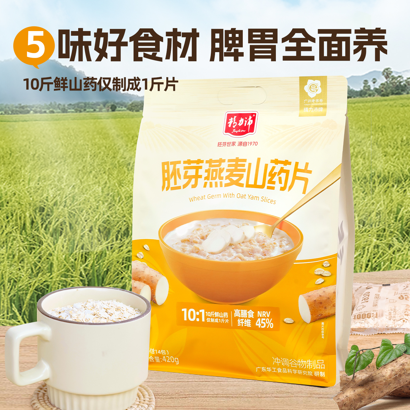 即食胚芽燕麦山药片420g