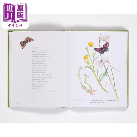 【中商原版】The Country Diary of an Edwardian Lady 进口艺术 一九零六：英伦乡野手记 新版 Rizzoli 商品图3