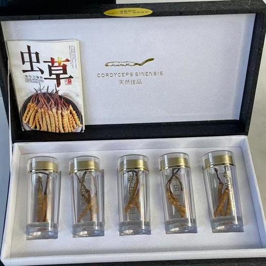 【干虫草】礼盒，4900米雪山直采 商品图0