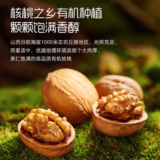 英氏采智有机DHA核桃油110ml 商品图12