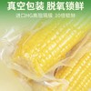 【甜蜜暴击】有机种植 泰溢五季 东北水果甜玉米甜度≥18° 低脂轻食 代餐粗粮 0农残 10倍锁鲜 真空包装 商品缩略图3