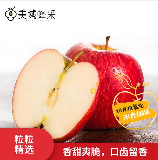 【顺丰/京东】美蜂贵妃苹果 高山净土生态种植 蚯蚓肥料浇灌  口感蜜脆浓香 BMF 商品图0