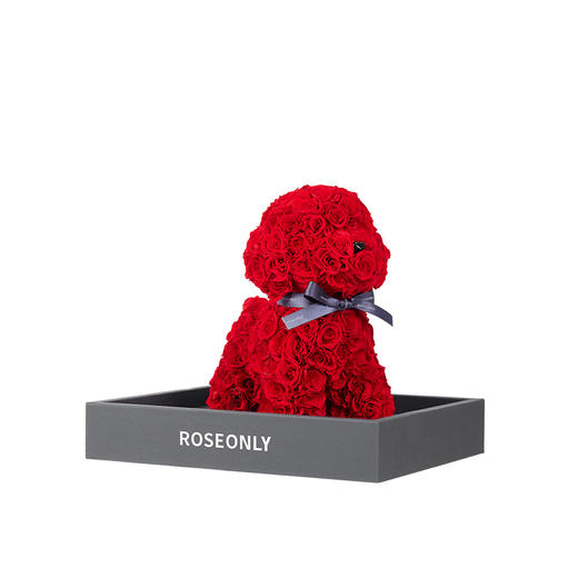 【告白推荐】ROSEONLY诺誓 高端定制 永生玫瑰 玫瑰公仔 玫瑰守爱狗 20cm 定制款 送女友爱人礼物 商品图3