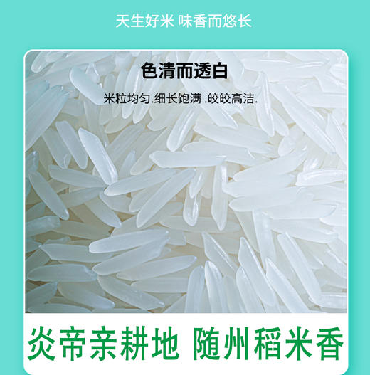 
随州香稻5kg/袋 湖北随州 商品图2