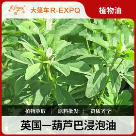 葫芦巴浸泡油Fenugreek原料批发SPA植物基础油美容院按摩油
