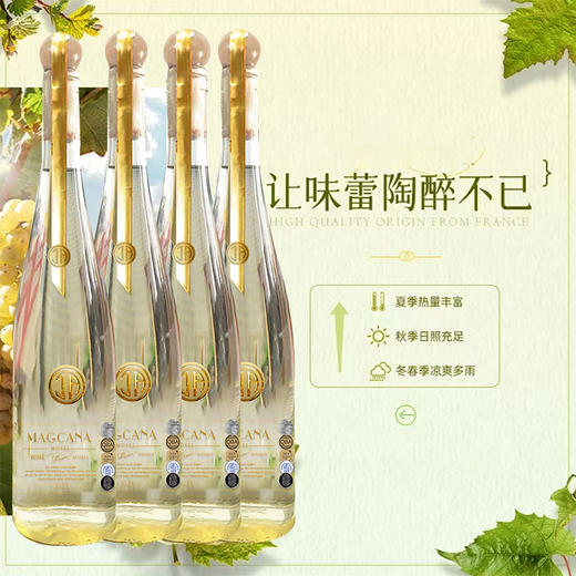 🍸德国原瓶进口【玛格卡纳·雷司令半甜白葡萄酒】性价比四支礼盒装🎁丰富果香半甜口感🍾️绝妙平衡的风味体验 商品图1
