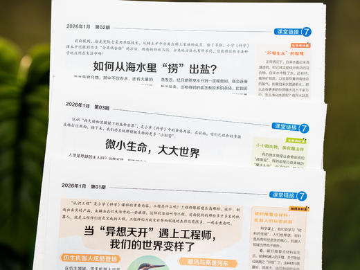 《少年科普报》2026全年订52期|小学科学素养报，一期吃透一个科学主题，横跨10大知识领域，理科启蒙零距离，早读早开窍 商品图8