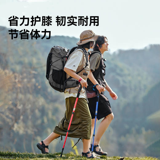 伯希和户外登山杖女铝合金伸缩手杖专业徒步装备轻便防滑拐杖男冬 商品图1