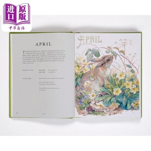 【中商原版】The Country Diary of an Edwardian Lady 进口艺术 一九零六：英伦乡野手记 新版 Rizzoli 商品图2