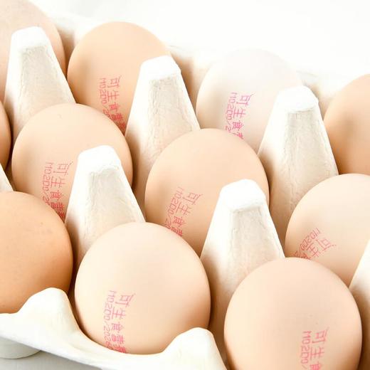 圣迪乐可生食鸡蛋15枚/盒 商品图2