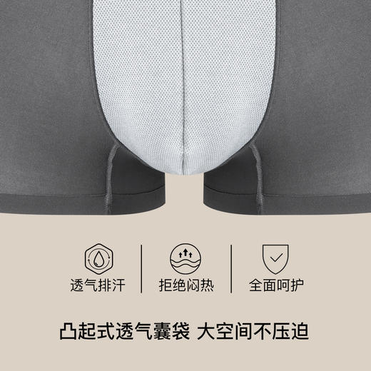 【满3条/6.7折】【秀黛】男高支莫代尔无痕平角裤男士内裤【1条】W5330004T【门店同款】【内裤非质量问题不退换，介意勿拍】 商品图2