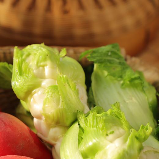 生态儿菜【含儿菜妈妈】（农场直发-顺丰包邮） | 4斤装，来自成都郫都【原乡农场，自产自销】 商品图2