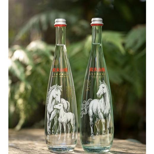 福州农夫山泉丙午马年生肖典藏版玻璃瓶水 商品图1