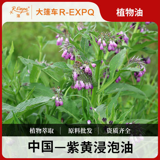 紫黄浸泡油 中国新疆原料批发 美容院按摩植物油基础油批发 商品图0