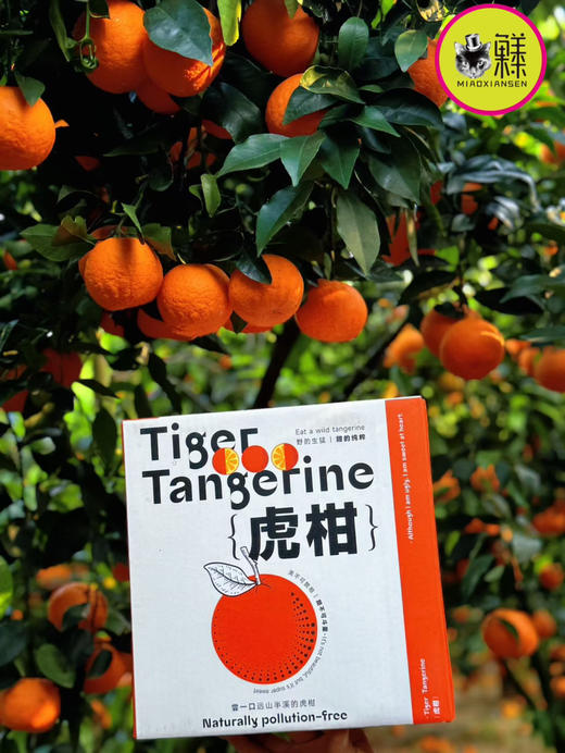 云南高原虎柑（高糖沃柑）礼盒2kg装 商品图1