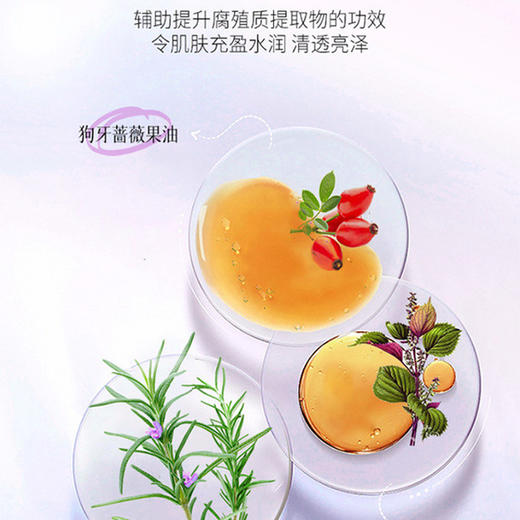 CosmeDecorte 黛珂 植物韵律三件套 商品图3
