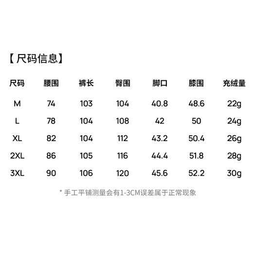 【抗静电&抗菌】圣得西2025年秋冬季男款休闲羽绒裤蓬松保暖长裤 商品图5