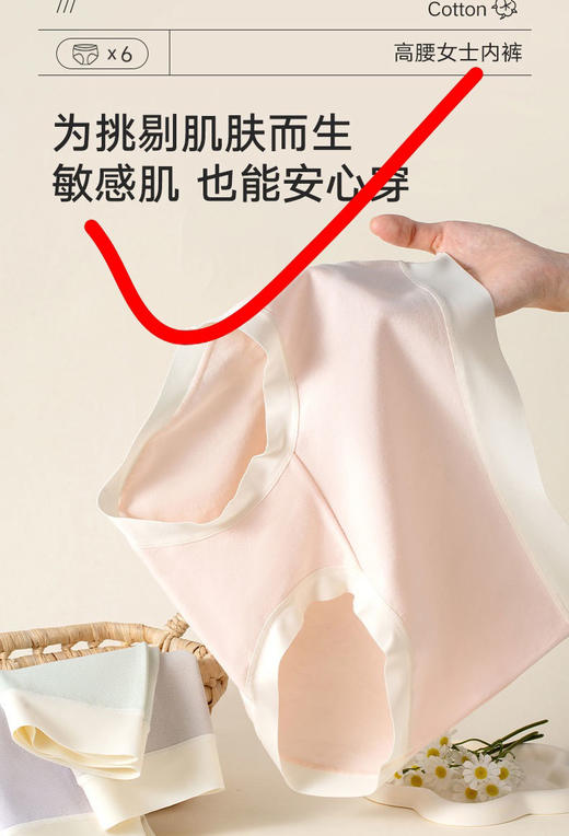 特价芬腾内裤7条装 商品图5