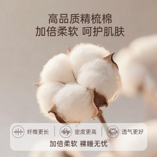 2026年春夏新款雅芳婷100%全棉四件套纯棉床笠被套薄被芯床上用品 商品图1