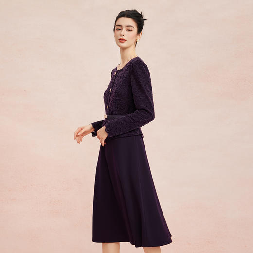 RE809斯尔丽2026春季新款蕾丝类假两件可日常可宴会着装修身显瘦连衣裙 商品图2