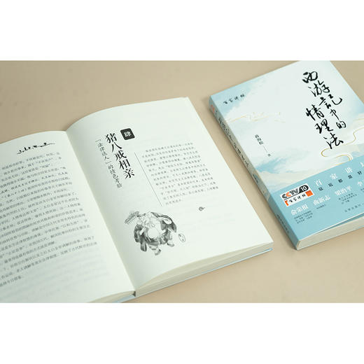 《西游记》中的情理法 蒋海松 法律出版社 商品图6
