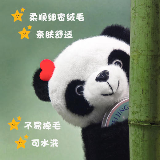 中华熊猫一家亲礼盒 商品图6