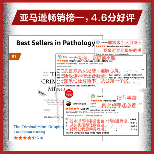 犯罪人格（李玫瑾作序，12个重罪少年的精神鉴定现场，揭秘病态人格，马皑、陈碧推荐） 商品图5