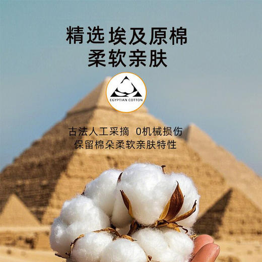 皂巾组合-- 劳动者光荣款（订制品） 商品图2