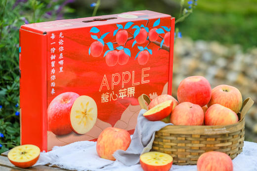 新疆阿克苏苹果 4.5斤家庭装 商品图0