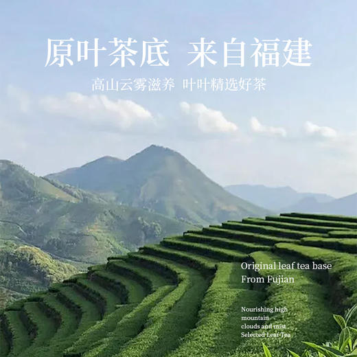 「随心泡轻松喝」苏小糖X福建熏花袋泡茶（35g/罐/14泡） 商品图2