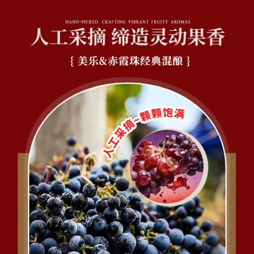 【国际金奖 享誉满名】  拉芳特古堡干红葡萄酒14°%  法定AOC产区 商品图6