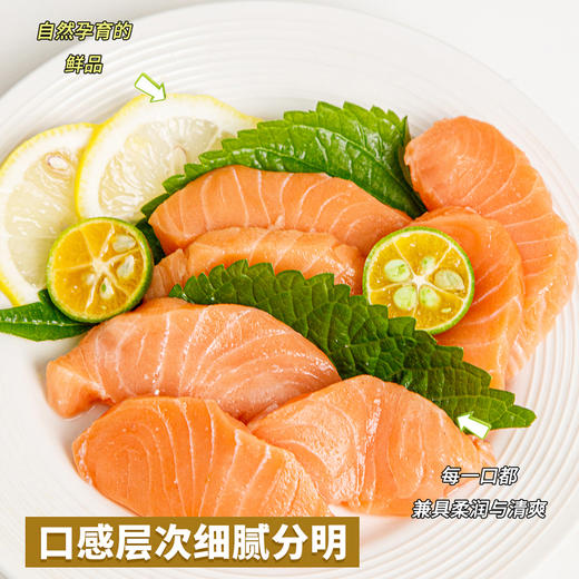 【顺丰快递】渔礼记 智利三文鱼 进口大西洋鲑 整条轮切原切 宝宝辅食 油脂丰富 整切大西洋鲑鱼 礼盒装 4斤 BMLJ 商品图6