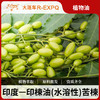 印楝油(水溶性)  印度苦楝 园艺护理果园草坪驱虫 原料批发 商品缩略图0