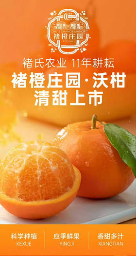 褚橙庄园沃柑礼盒4kg装
