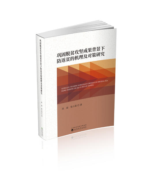 巩固脱贫攻坚成果背景下防返贫的机理及对策研究 商品图0