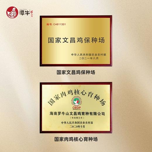 送礼佳品-海南潭牛文昌鸡母鸡走地鸡糟粕醋套餐3-4人份鸡肉酸辣火锅套餐 商品图3