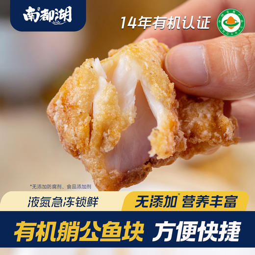 南都湖有机艄公鱼块 新鲜鳙鱼腌制速冻活鱼方便菜口感鲜嫩顺丰包邮500g/袋 商品图1