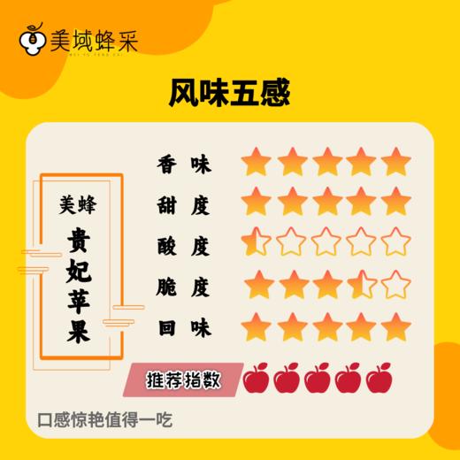 【顺丰/京东】美蜂贵妃苹果 高山净土生态种植 蚯蚓肥料浇灌  口感蜜脆浓香 BMF 商品图3