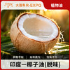 椰子油（精制）印度原料批发 SPA植物按摩基底油 大篷车精油 商品缩略图0