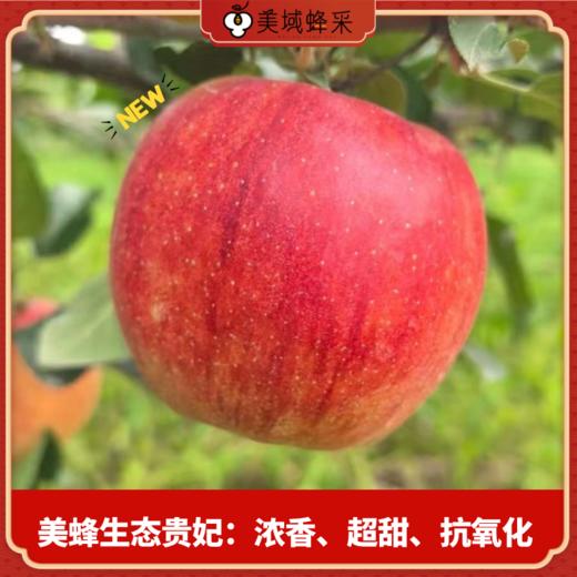 【顺丰/京东】美蜂彩虹苹果礼盒 黄金秦脆+贵妃+瑞雪  高山净土 生态种植 远离污染 口感蜜脆浓香 BMF 商品图2